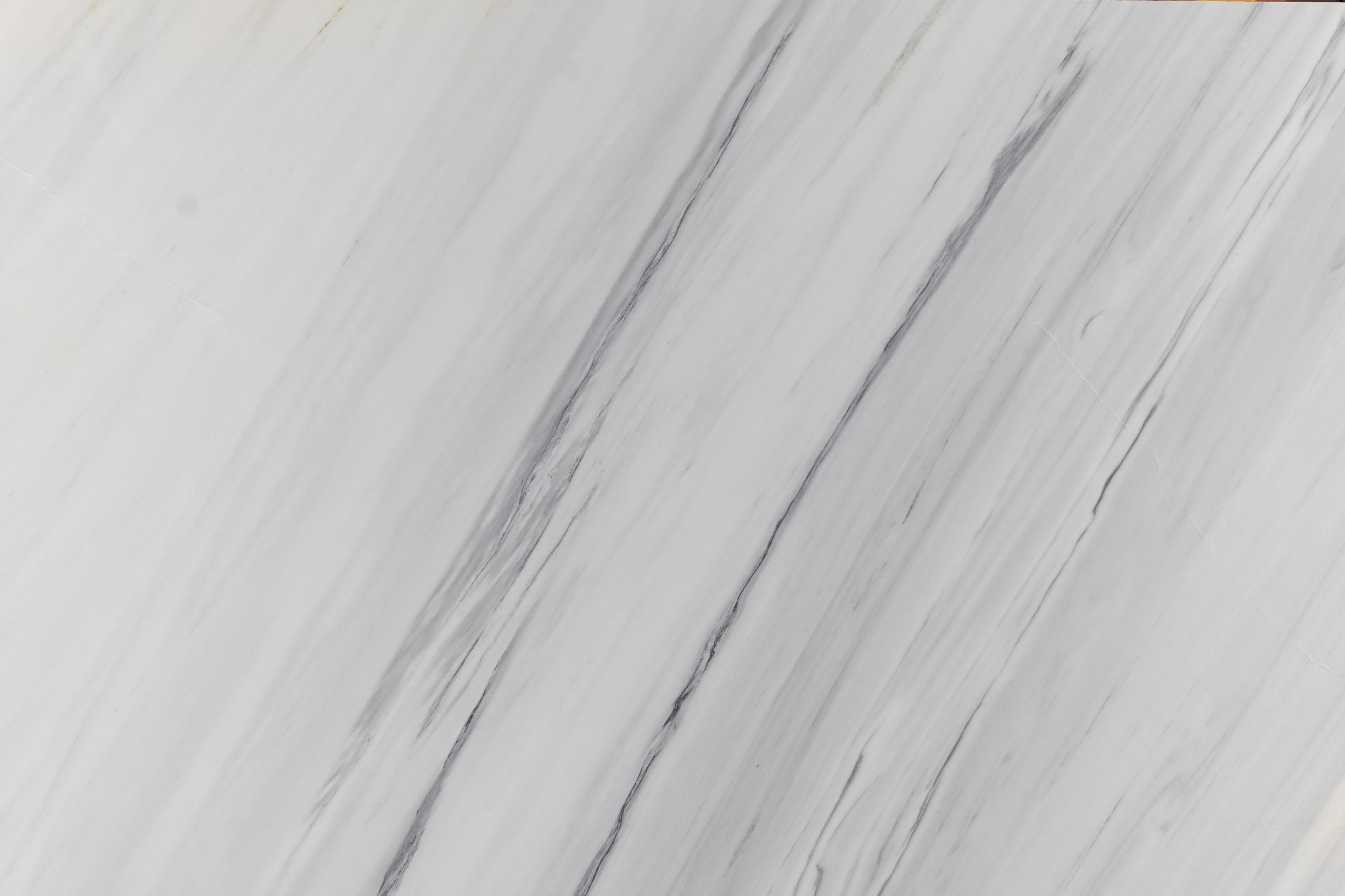 Covelano White_02
