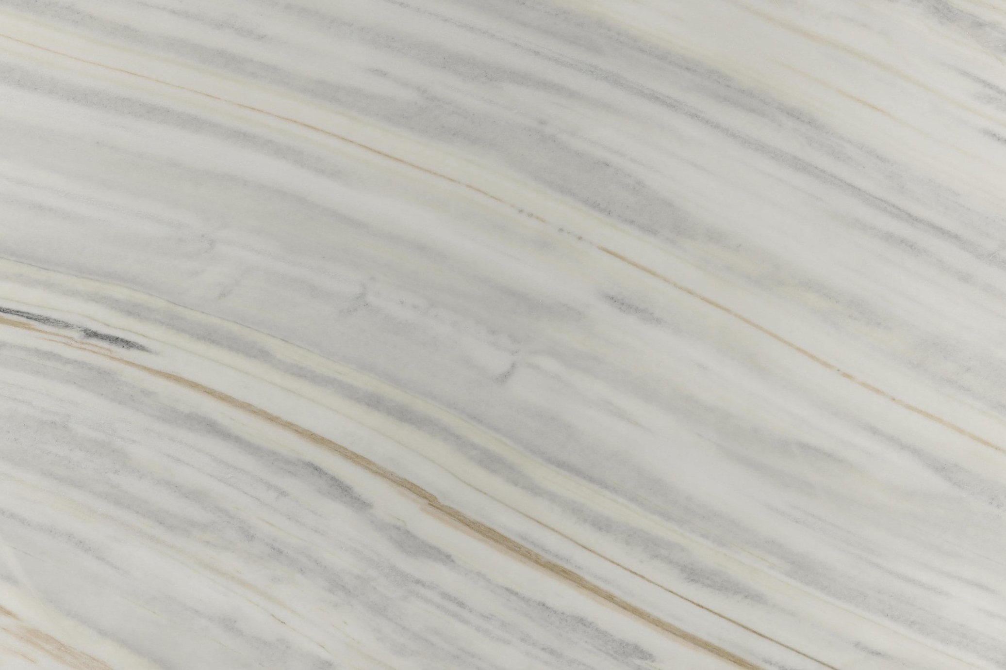 Covelano White_03