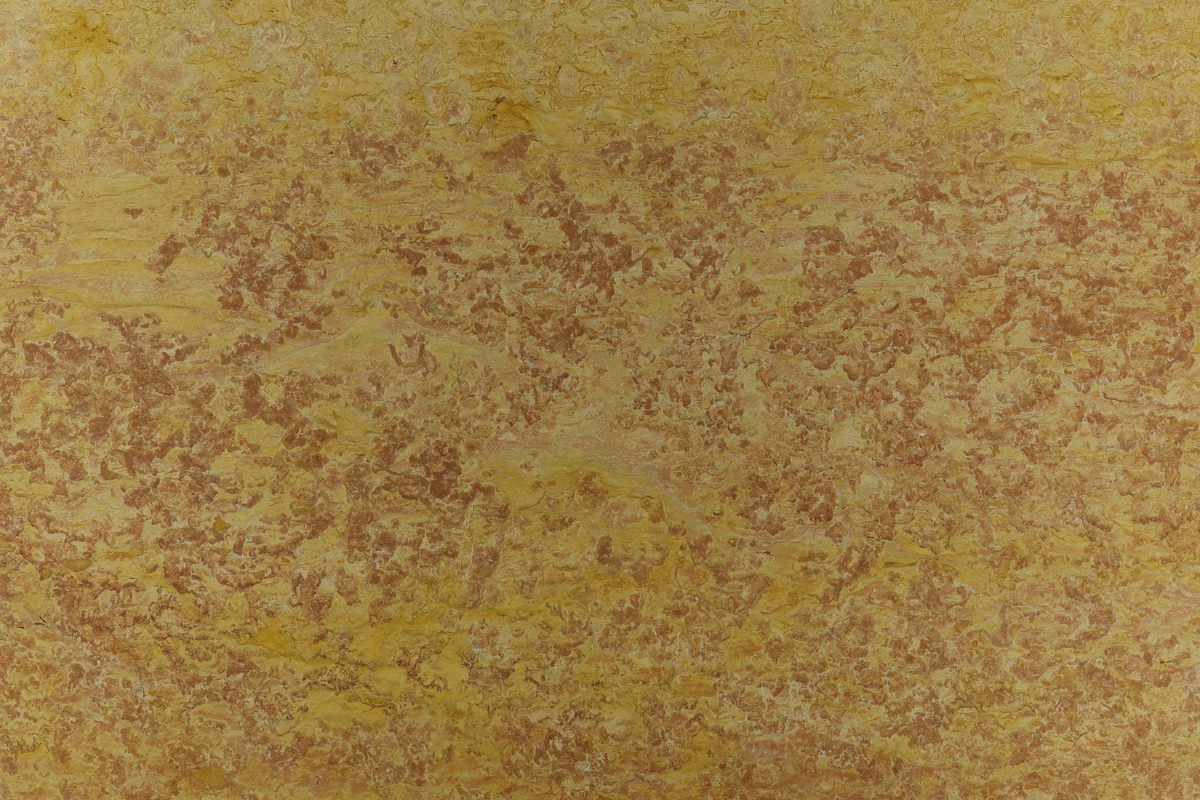 Royal Yellow_01