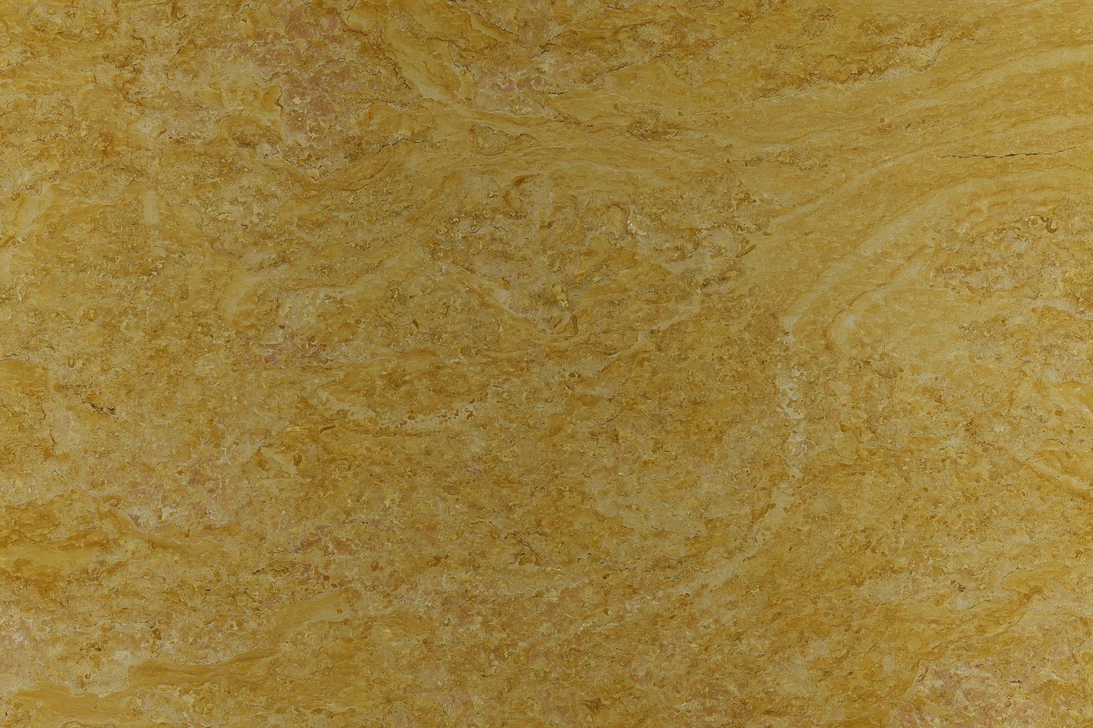 Royal Yellow_02