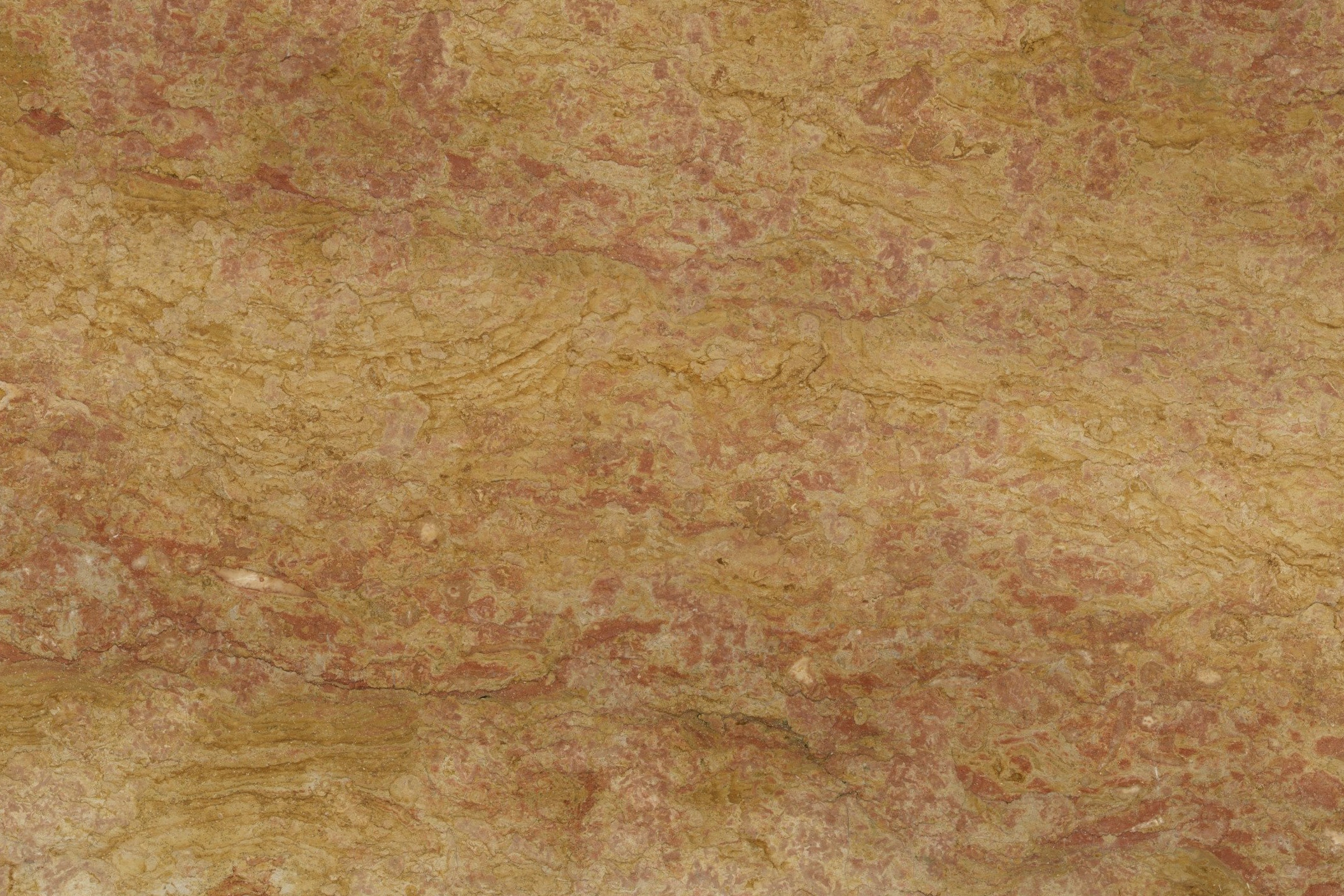 Royal Yellow_03