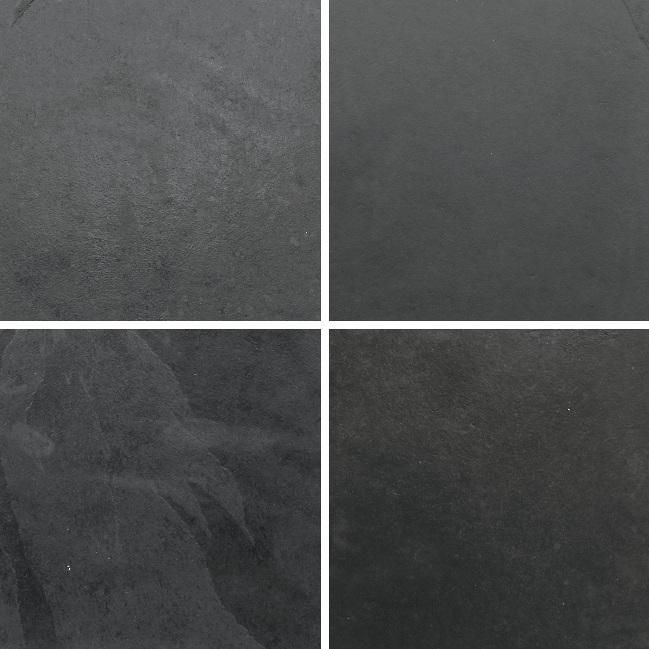 black_pitangui