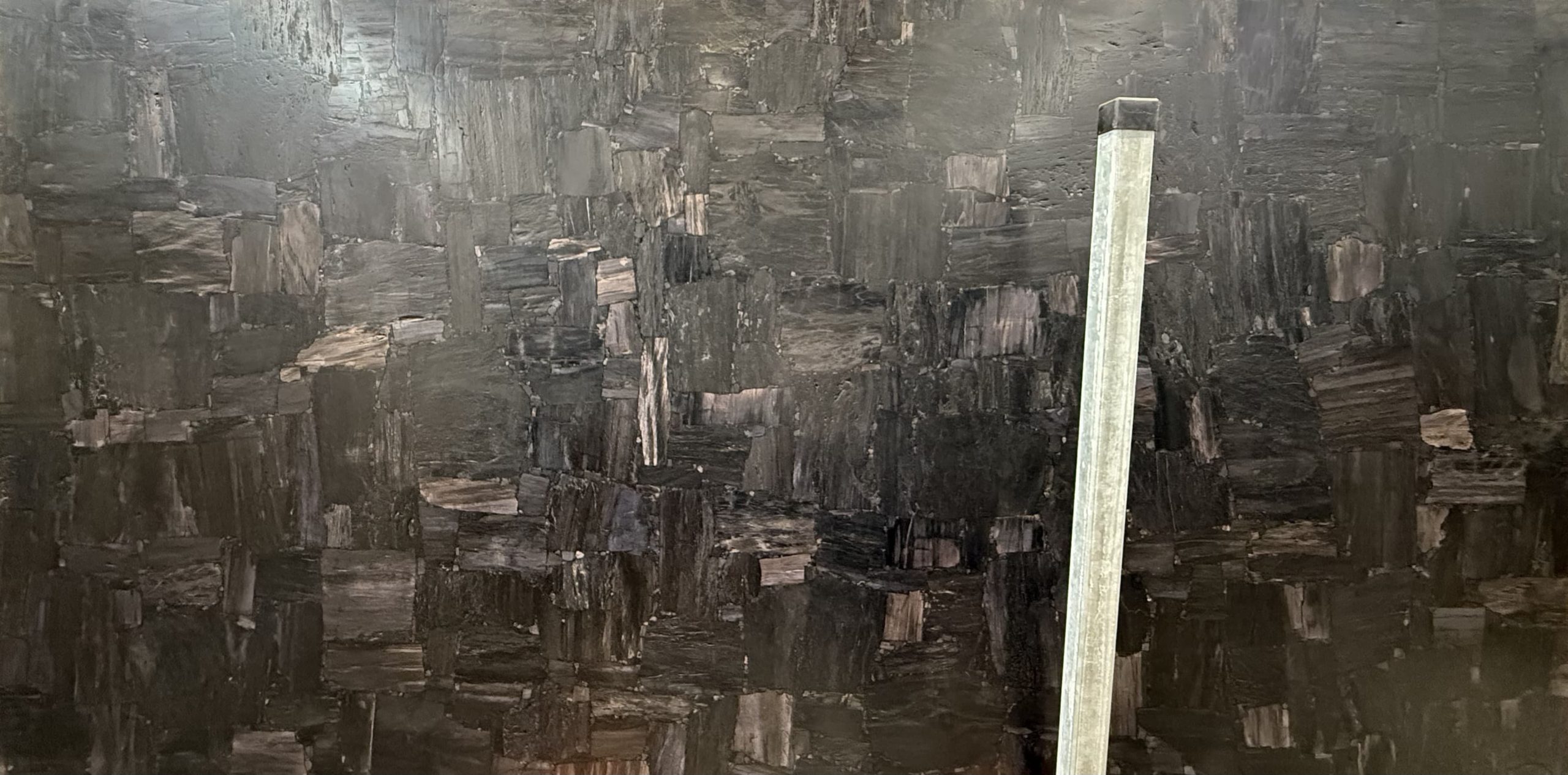Black Petrified wood reverse cut_00002