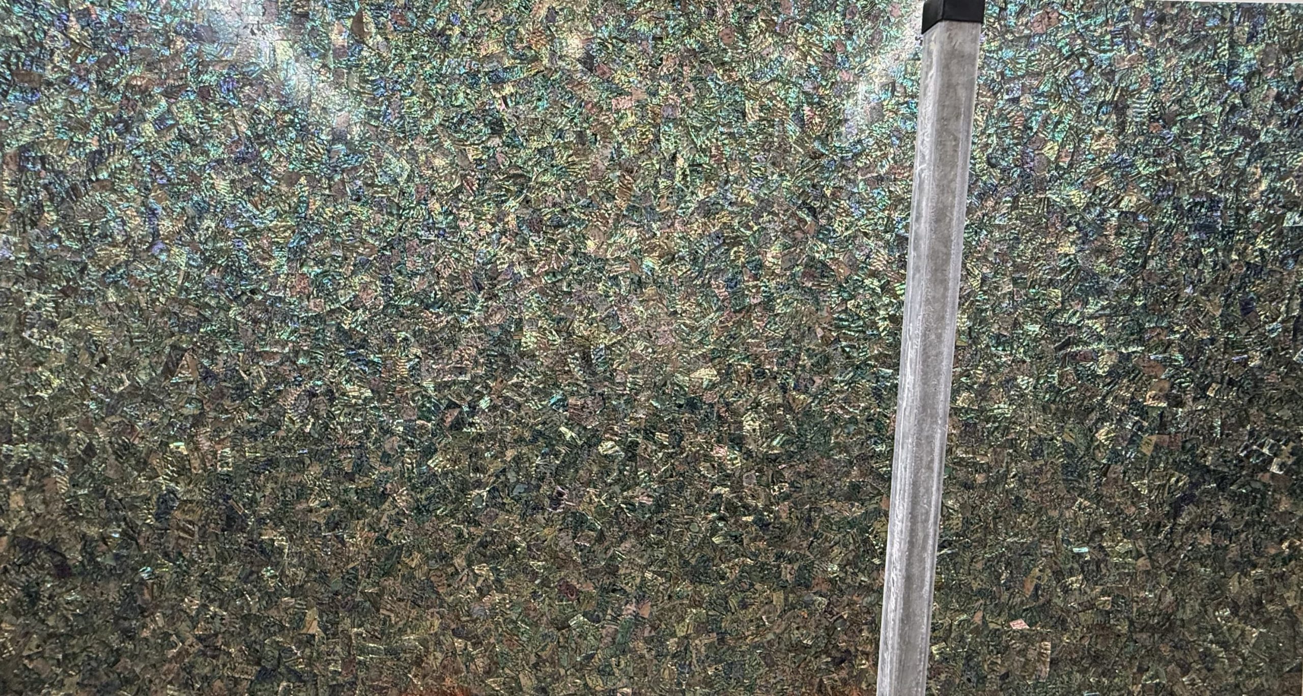 Mop Abalone_00001