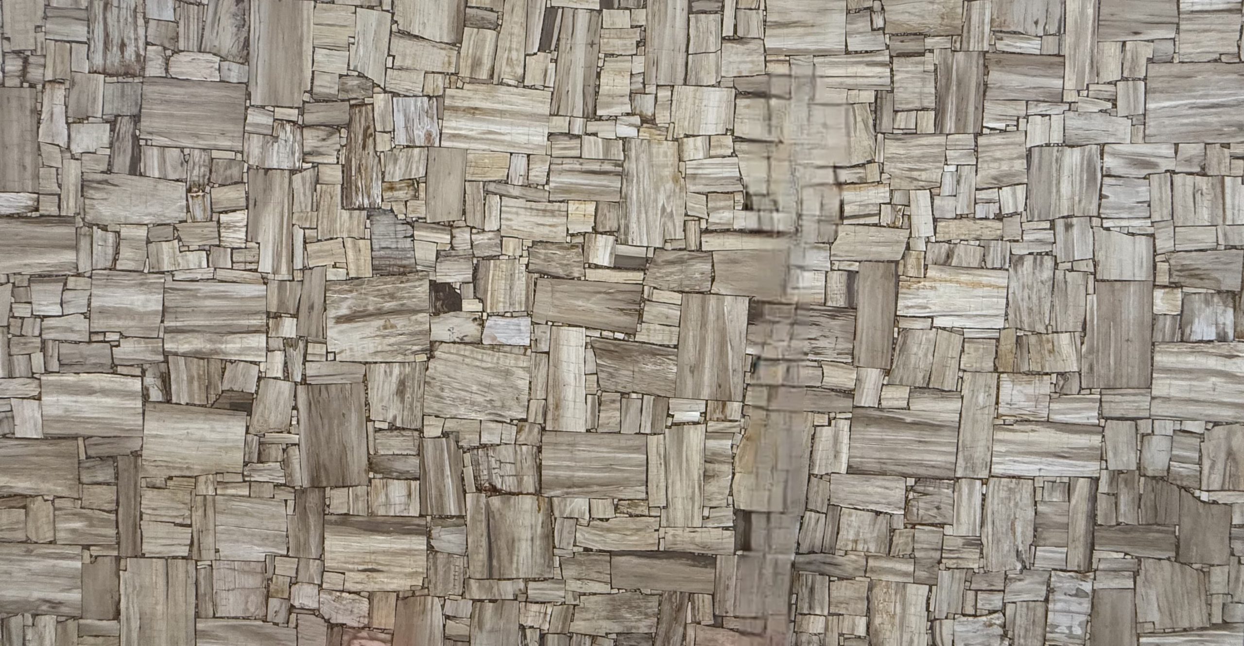 White Petrified Wood reverse cut_00001