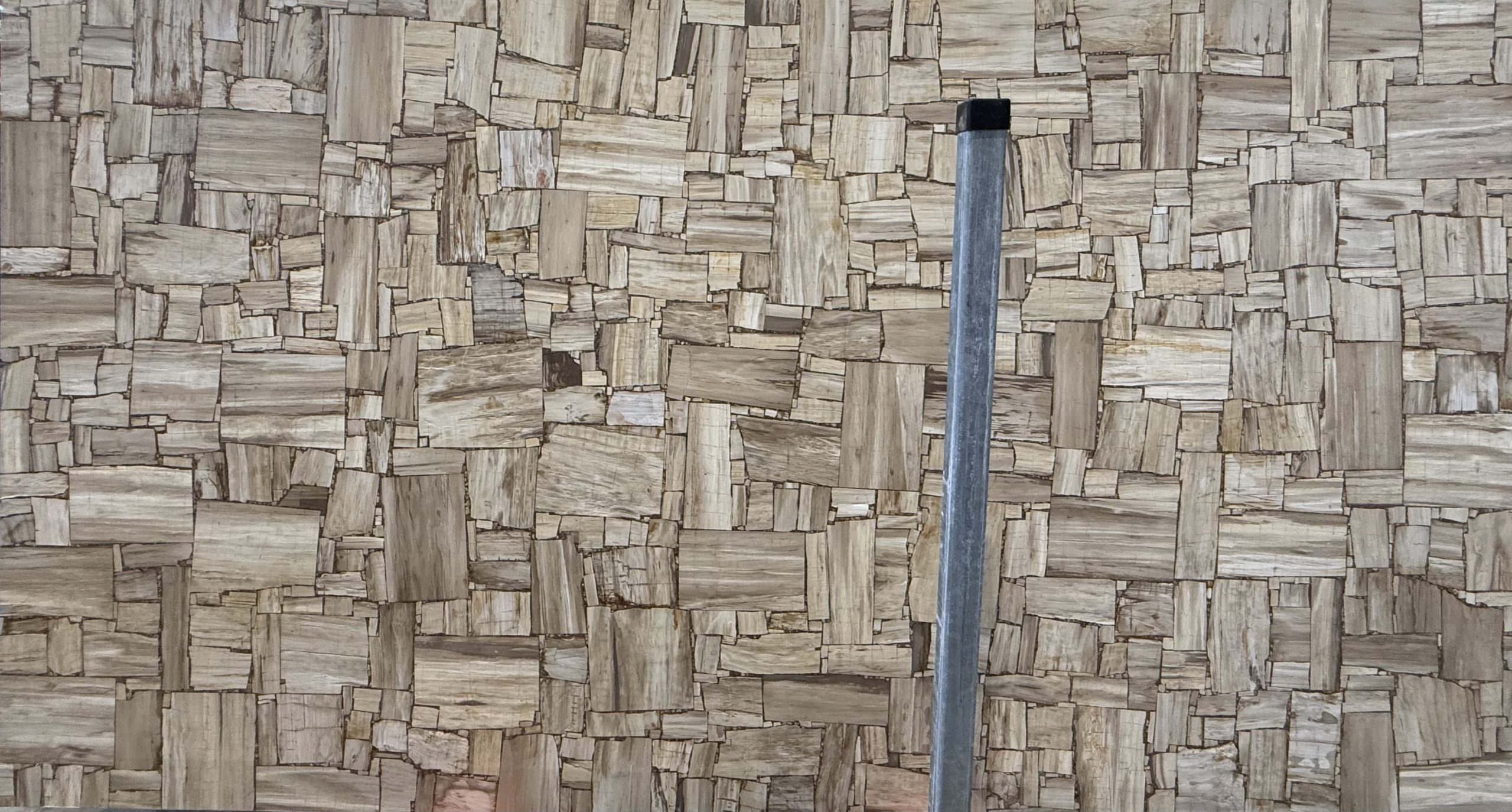 White Petrified Wood reverse cut_00002